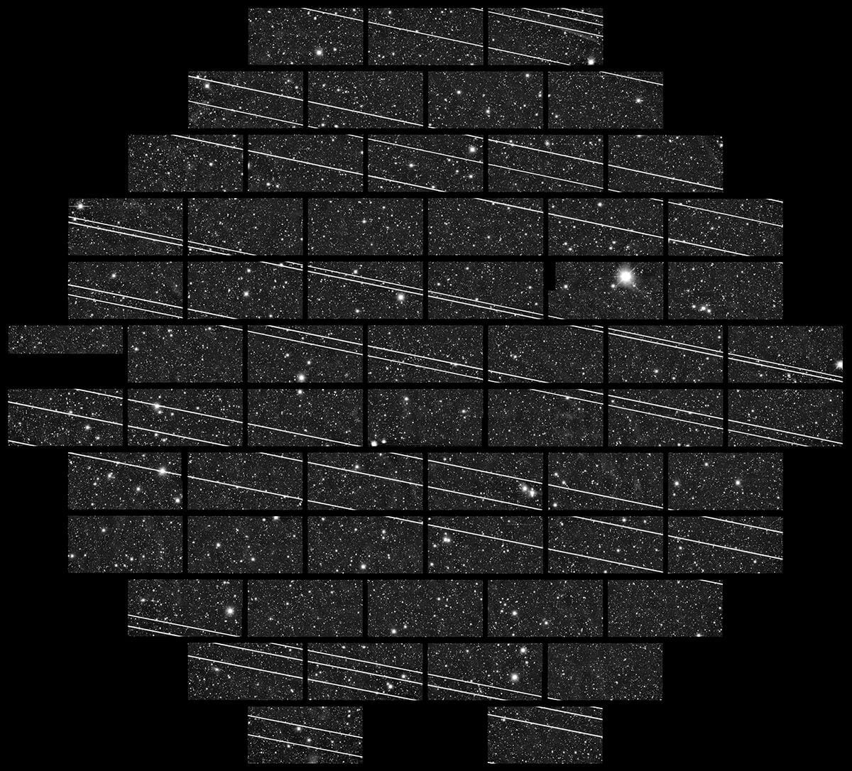 Starlink