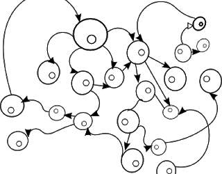 8 – Teachers training teachers